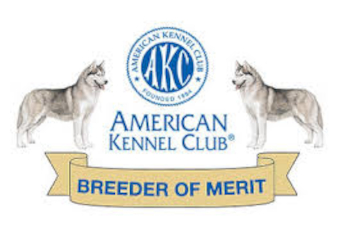 AKC Breeders of Merit for Siberian Huskies