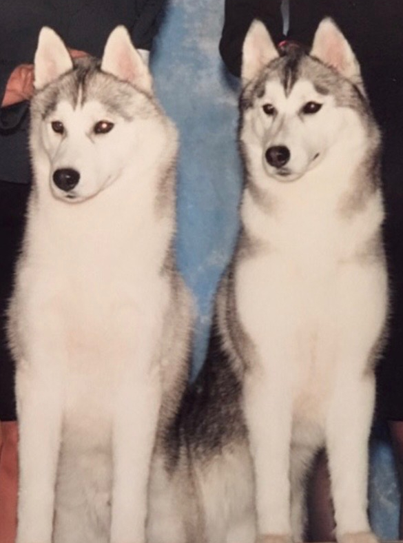 Turbo and Tari
