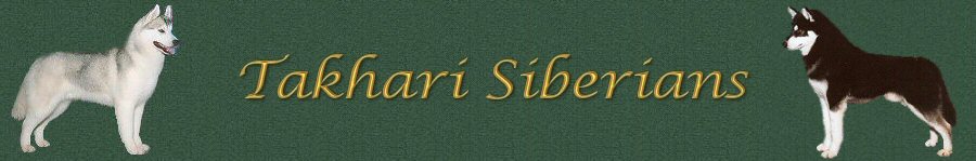 Takhari Banner