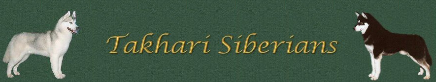 Takhari Banner