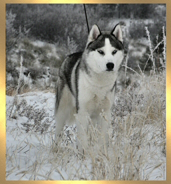 Skylar Head Shot